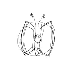 1. IDEA
